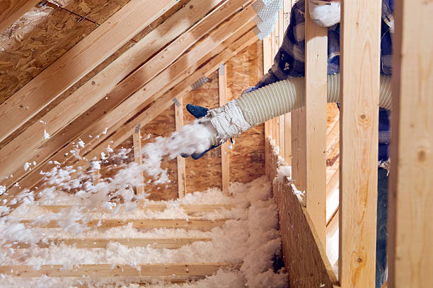 Best Eco-Friendly or Green Insulation Solutions in USA